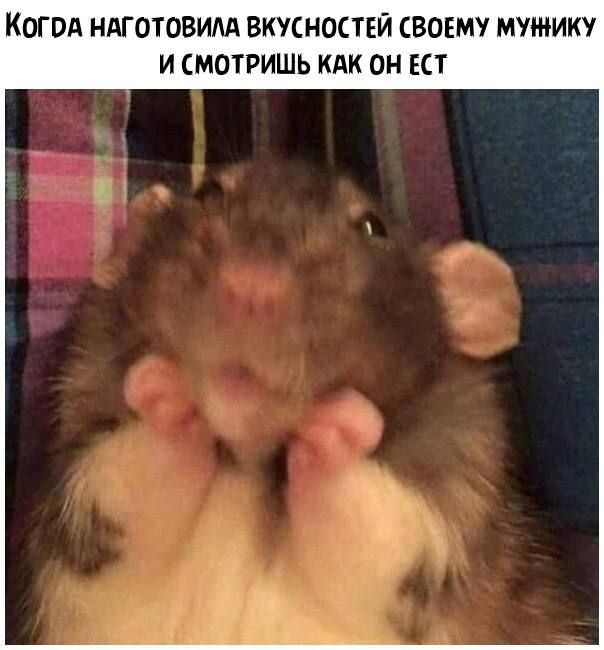 КОГВд НдГОТОВИМ ВКУСНОСТЕЙ СВОЕМУ МУШИКУ И СМОТРИШЬ КАК ПН ЕСТ