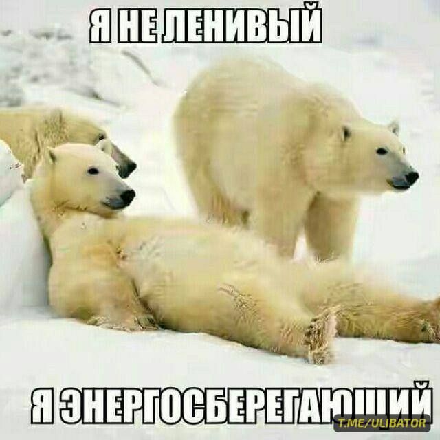 Ш ЗНЕРЮЁБЕРЕШЮШИЙ