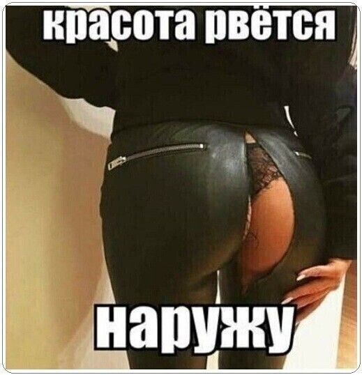 нпарота пвется