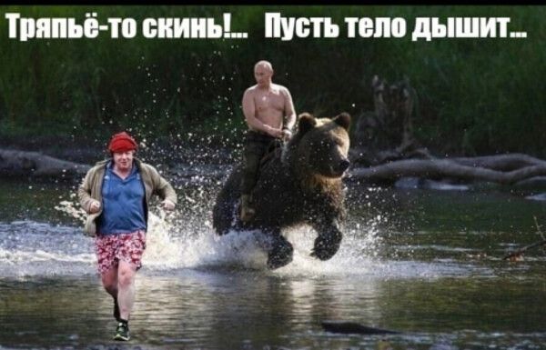 тп п спи Шип пм дим