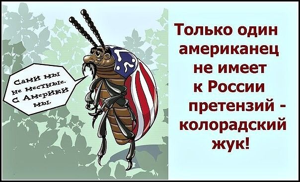 Только один американец не имеет к России претензий колорадский жук
