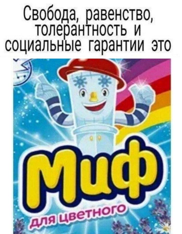 Свобода авенство толеран ность и социальные гарантии это