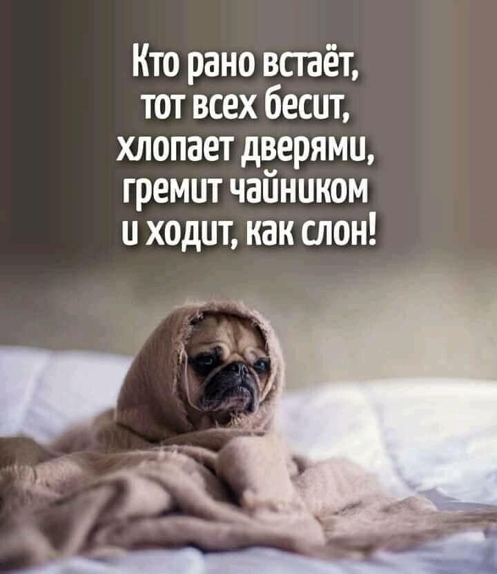 Кто рано встаёт тот всех бесит хлопает дверями гремит чайником и ходит как слон