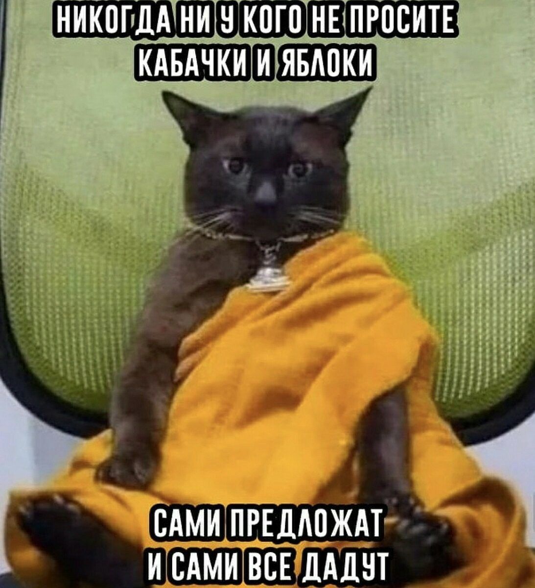 НИКППДШНИ ЁКОГПТПЕЁПРПБИТЕ шдмшшждт и пшиівсв щшнт