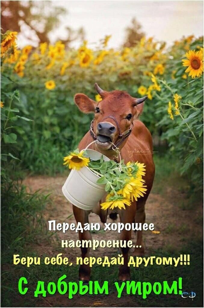 ПерёАаЁішіюшее настроение Бери себе передай другому СЗ