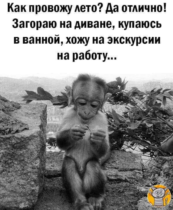Как провожу дето Аа ОТАИЧНО Загораю на диване купаюсь в ванной хожу на экскурсии на работу