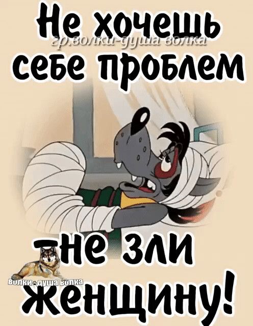 севе провдем дне ЗАИ Жёнщину