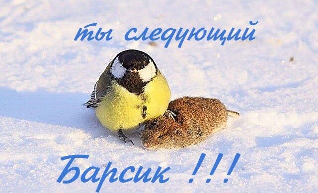 Ты щукющая а ш