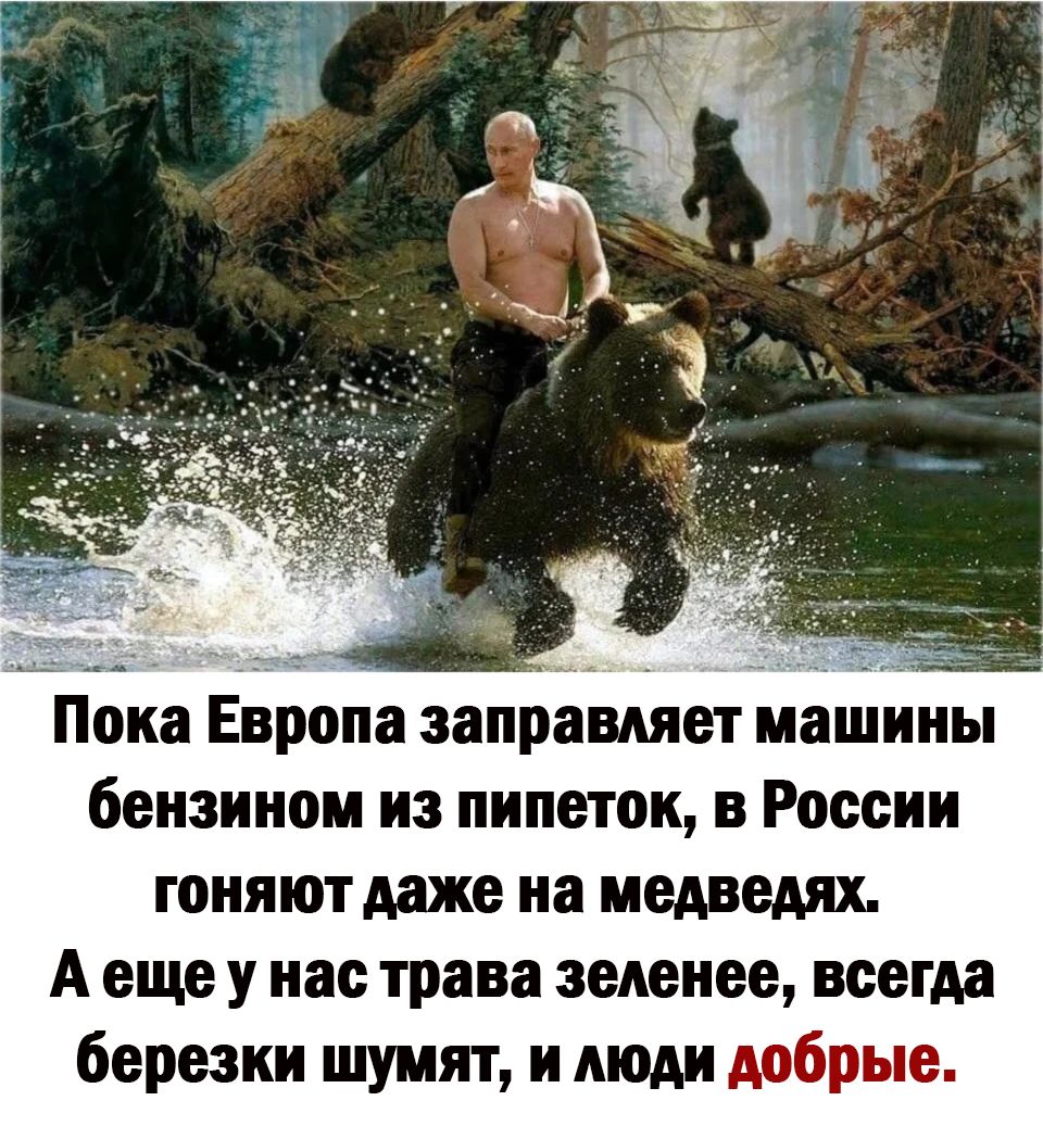 Пока Европа заправляет машины бензином из пипеток в России гоняют даже на медведях А еще у нас трава зеленее всегда березки шумят и люди добрые