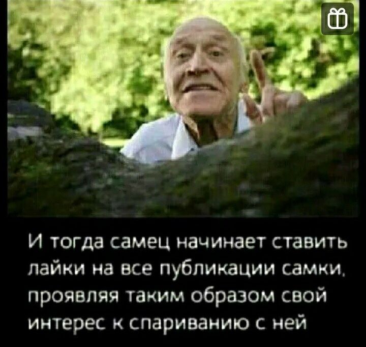И тогда самец начинает ставить лайки на все публикации самки проявляя таким образом свой интерес к спариваиию с ней