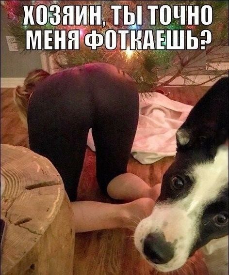 иъёзаъитіёіыіъшіно Мнёфіцёддшьр 141