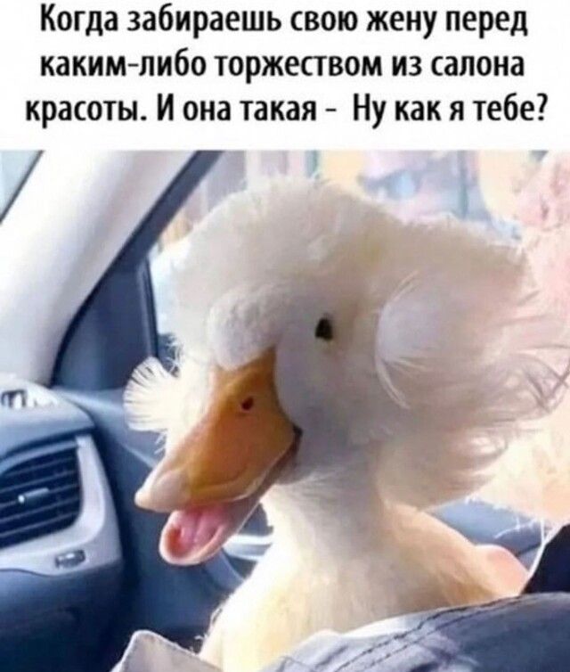 Когда забираешь свою жену перед какимлибо торжеством из салона красоты И она такая Ну как я тебе