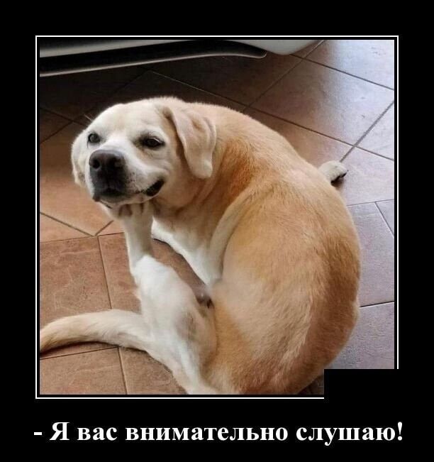 Я вас внимательно слушаю
