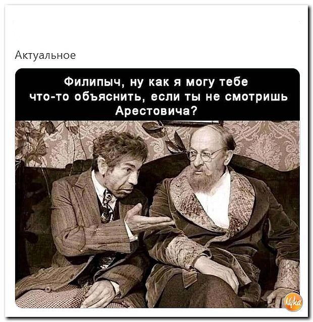 м тельноз Филипыч ну как я могу тебе что то обьяснить если ты не смотришь Арестпвича