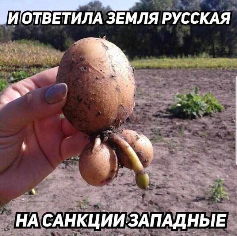 дд ИОЩВЕТИЛА ЗЕМЛЯ РУССКАЯ
