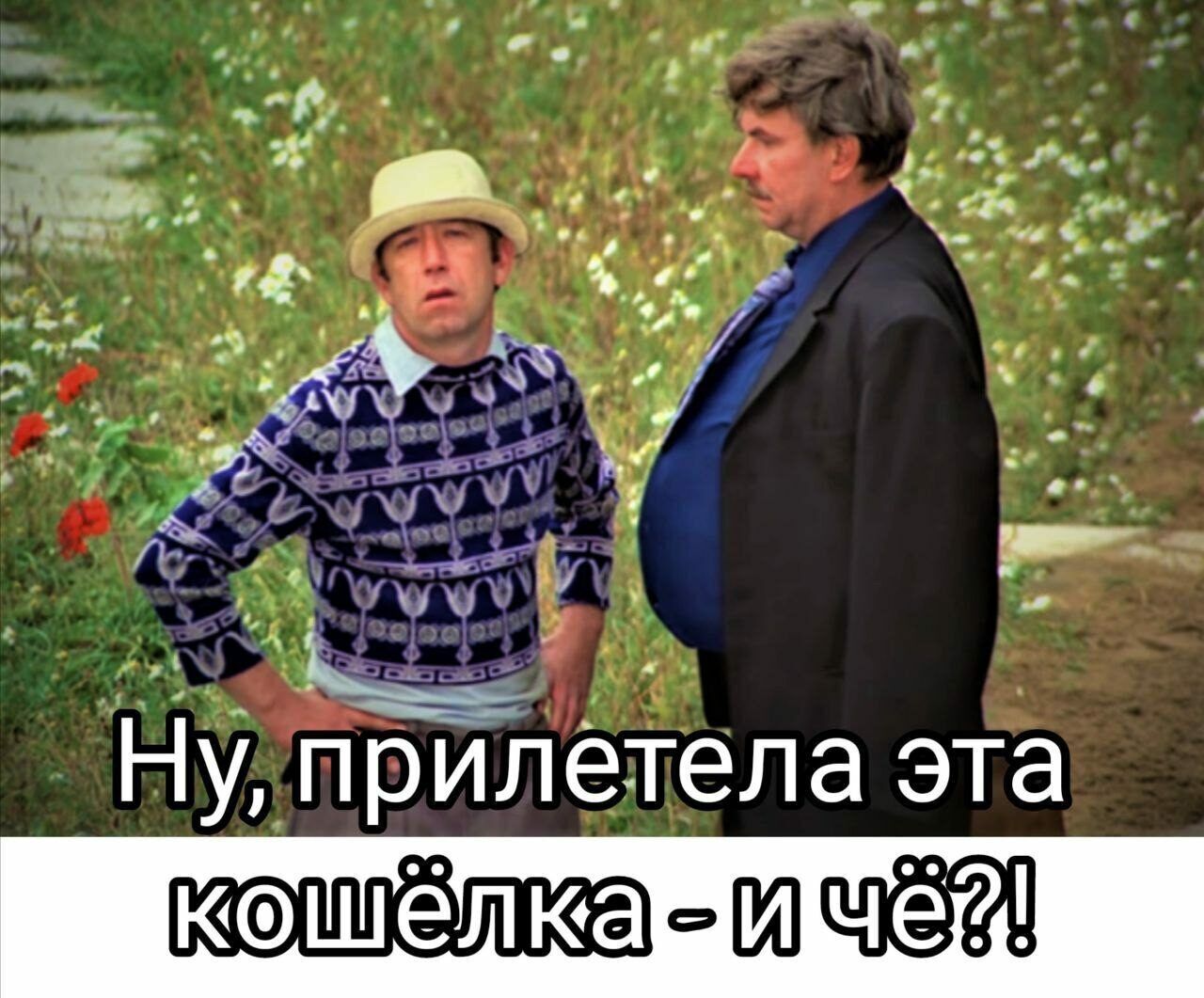 _____ _ Ну прилетела эта шил