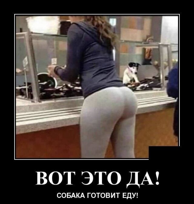 ВОТ ЭТО ДА СОБАКА ГОТОВИТ Еду