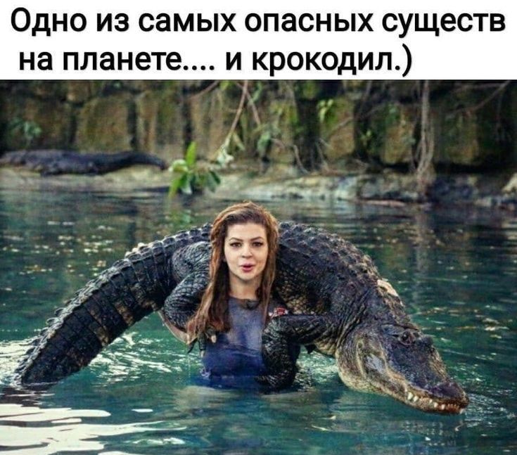 Одно из самых опасных сущест на планете и крокодил