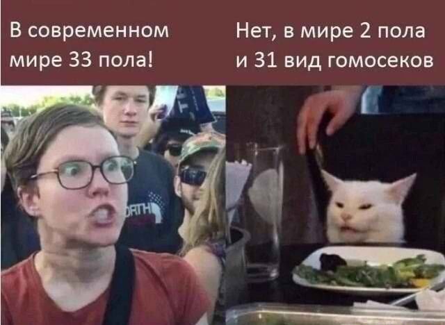 В современном Нет в мире 2 пола мире 33 пола и 31 вид гомосеков