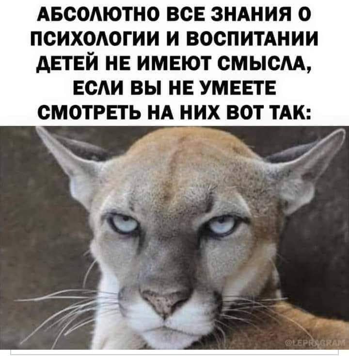 АБООМОТНО ВСЕ ЗНАНИЯ О ПСИХОАОГИИ И ВООПИТАНИИ АЕТЕИ НЕ ИМЕЮТ смысм ЕСЛИ ВЫ НЕ УМЕПЕ СМОТРЕТЬ НА НИХ ВОТ ТАК