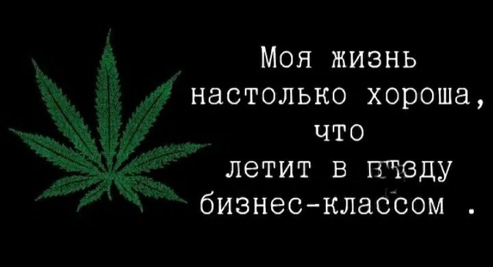 Моя жизнь настолько хороша что летит в втеду бизнесклассом