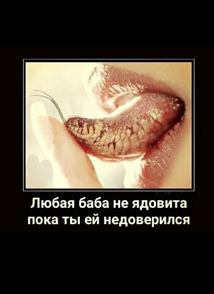 Любая баба не ядовита пока ты ей недоверипся