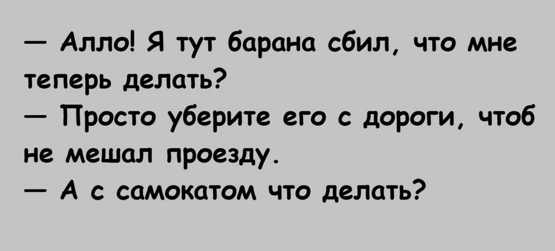 Алло Я тут барана сбил что мне теперь делать Просто уберите его с дороги чтоб не мешал проезду А с самокатом что делать
