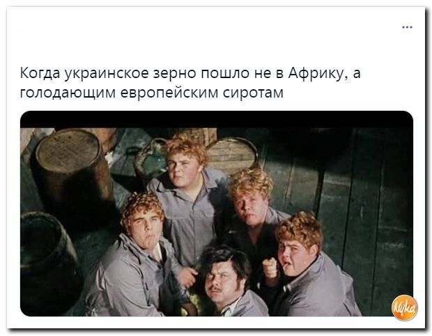 раинсте верю пошло не Афрм ающим ждите сирота