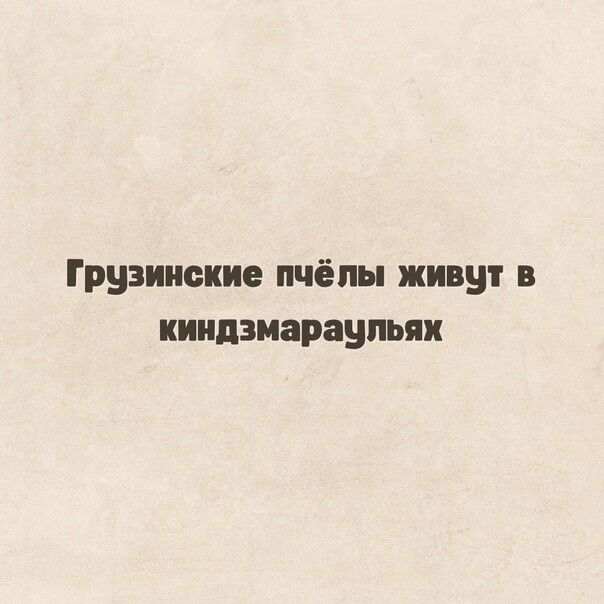 Грузинские пчёлы живут в ииидзиарацпьяи