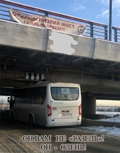 оче Ы РАЗЕЛЬ НЫ НЕ с ЗОН