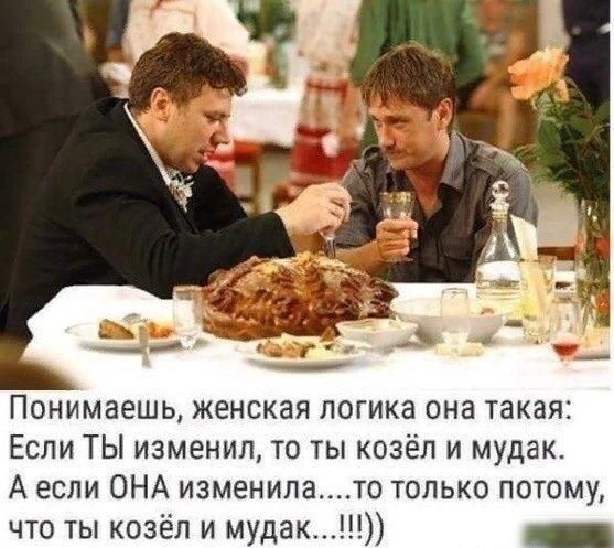 Понимаешь женская логика она такая Если ТЫ изменил то ты козёл и мудак А если ОНА изменилато только потому что ты козёл и мудак _