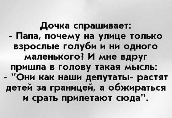 дочка спрашивает Папа почему на улице только взрослые голуби и ни одного маленького И мне вдруг пришла в голову такая мысль Они как наши депутаты растят детей за границей а обжираться и срать прилетают сюда