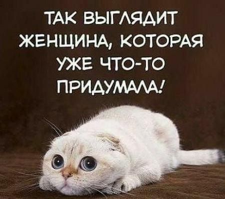 ТАК ВЫГАЯАИТ ЖЕНЩИНА КОТОРАЯ УЖЕ ЧТО ТО ПРИАУМААА