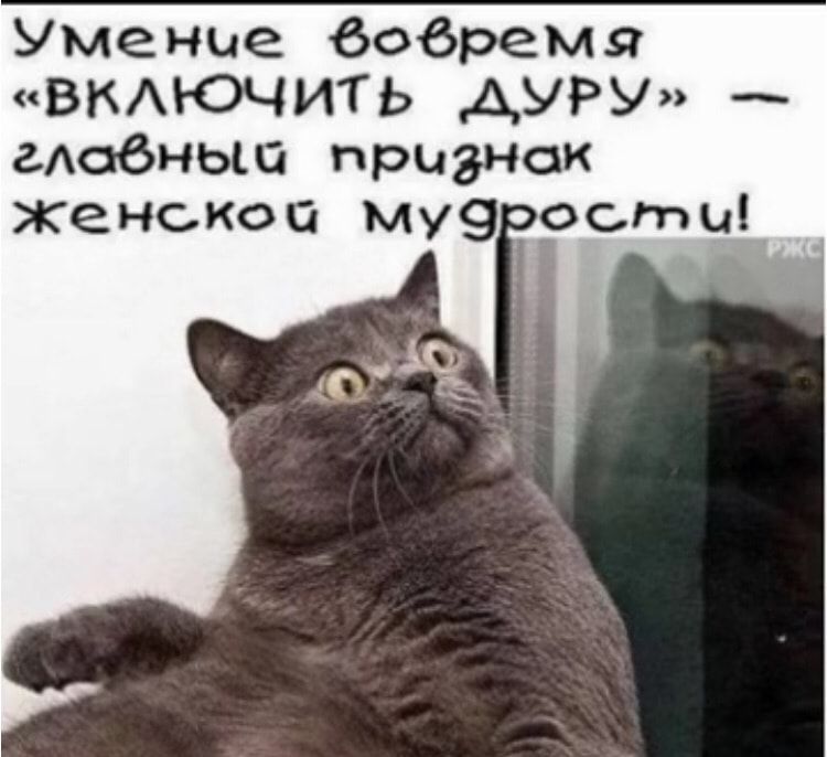 Умение вовремя ВКЮЧИТЬ АУРУ адвеньш признак Женской МУ9РСМШ