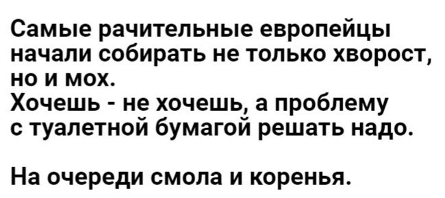 Самые рачительные европейцы начали собирать не только хворост но и мох Хочешь не хочешь а проблему с туалетной бумагой решать надо На очереди смола И коренья