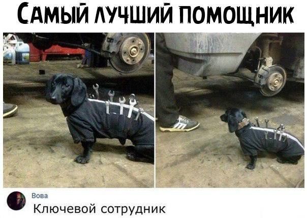 ИЙ ПОМОЩНИК ь пючевой сотрУдник