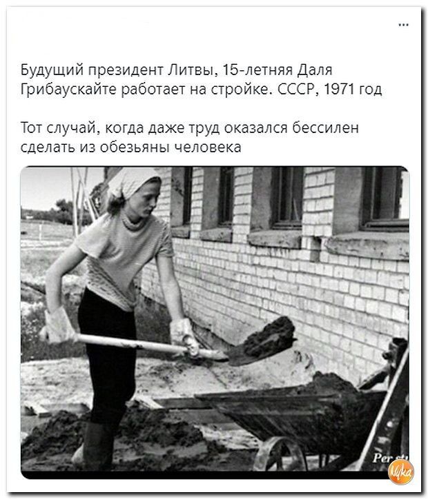 Будущий президент Литвы ібглетния Даля Грибаускайче работы на аройке ссср 1971 юд Тот случай когда дахе ГрУд оказался бессилен делать из обезьяны человека