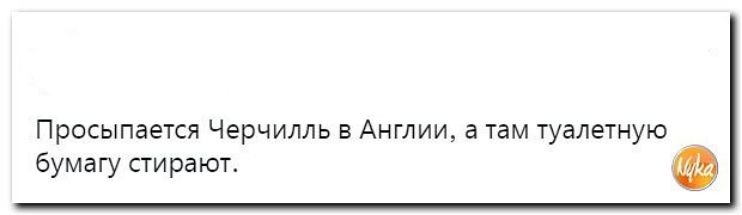 Просыпается Черчилль Англии а там туалетную Бумагу пират