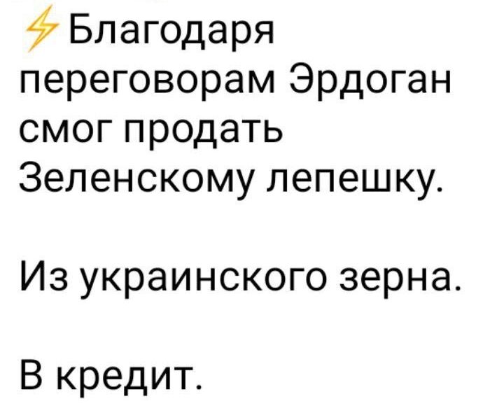 Благодаря переговорам Эрдоган смог продать Зеленскому лепешку Из украинского зерна В кредит