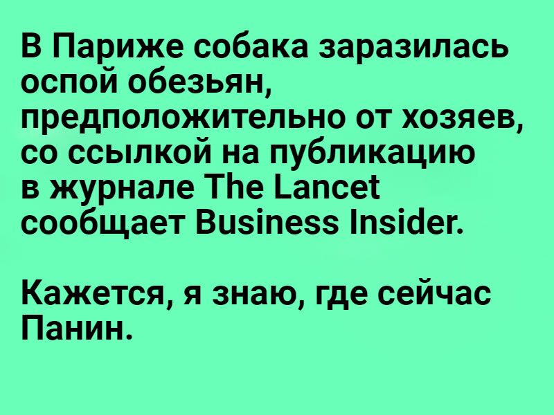 В Париже собака заразилась оспой обезьян предположительно от хозяев со ссылкой на публикацию в журнале ТЬе _апсе1 сообщает Визіпезз пзісіег Кажется я знаю где сейчас Панин