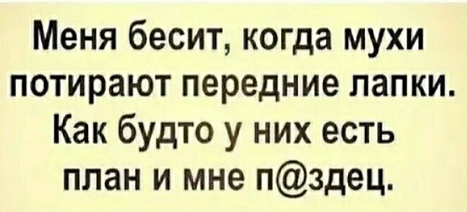 Меня бесит когда мухи потирают передние папки Как будто у них есть план и мне пздец