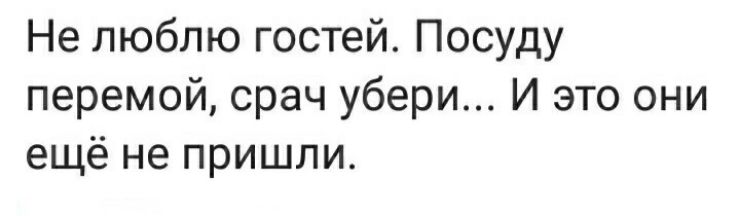 Не люблю гостей Посуду перемой срач убери И это они ещё не пришли