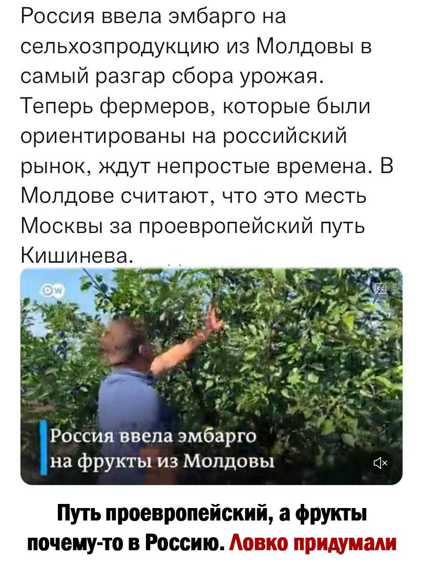 Россия ввела эмбарго на сельхозпродукцию из Молдовы в самый разгар сбора урожая Теперь фермеров которые были ориентированы на российский рынок ждут непростые времена В Молдове считают что это месть Москвы за проевропейский путь Кишинева Россия ввела эмбарго Ёна фрукты из Молдовы Путь проевропейский а фрукты почему то в Россию Мико пишиш