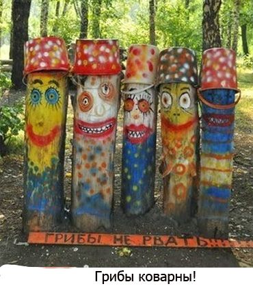 Грибы коварны