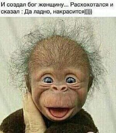 И создал бог женщину Расхохогался и сказал да ладно накрасится