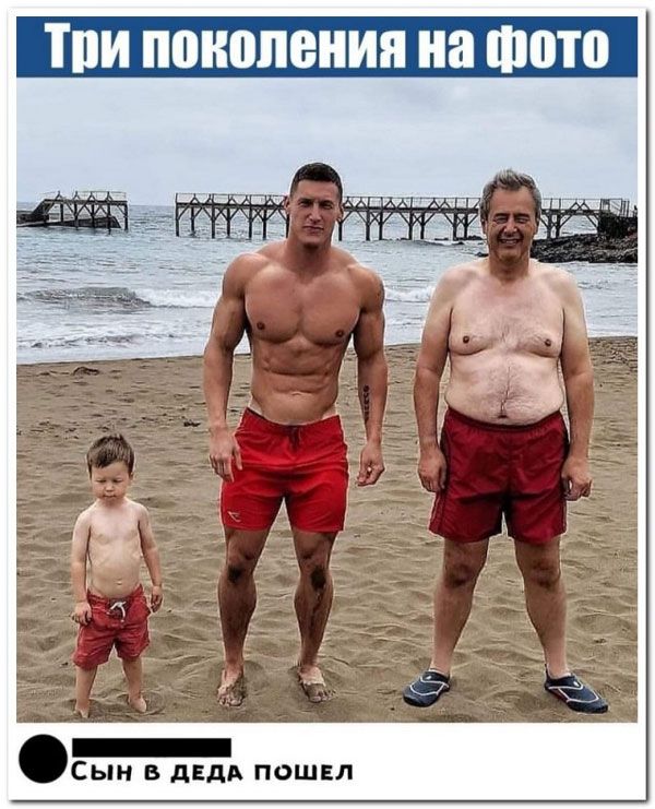 _ Сын дідв пашня