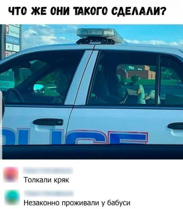 ЧТО ЖЕ ОНИ КОГО САЕАААИ Фа 1 Топкапи кряк Незаконно проживали у бабуси