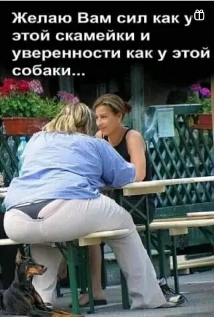 Желаю Вам сип как ут этой скамейки и уверенности как у этой собаки