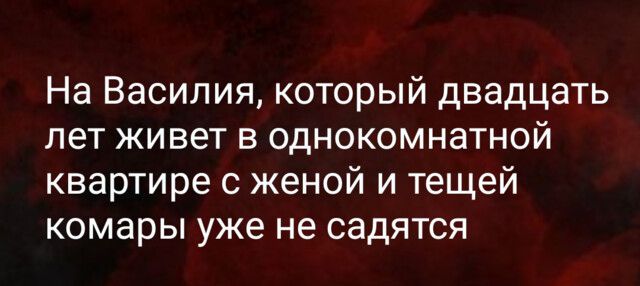 На Василия который двадцать лет живет в однокомнатной квартире с женой и тещей комары уже не садятся