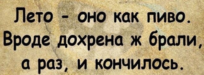 Лето чоно как пиво Вроде дохрена ж брали а раз и кончилось